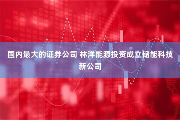 国内最大的证券公司 林洋能源投资成立储能科技新公司