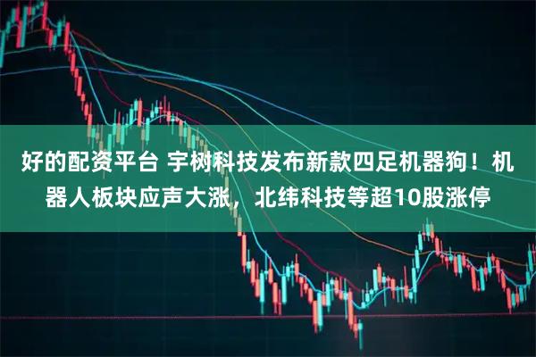 好的配资平台 宇树科技发布新款四足机器狗！机器人板块应声大涨，北纬科技等超10股涨停