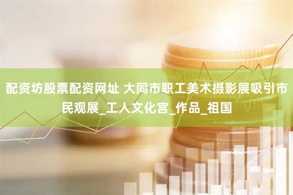 配资坊股票配资网址 大同市职工美术摄影展吸引市民观展_工人文化宫_作品_祖国